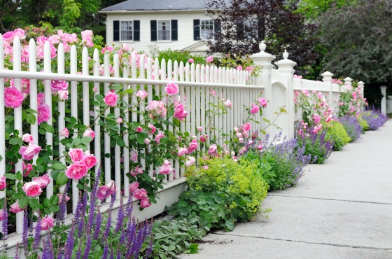 best flowers for curb appeal